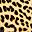 Tan Cheetah