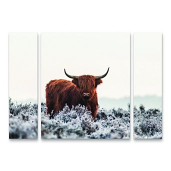 Highland Cow Canvas Wall Art 3 pc Set