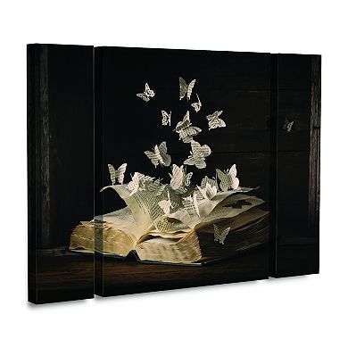 Lepidopterology Butterfly Canvas Wall Art 3-piece Set