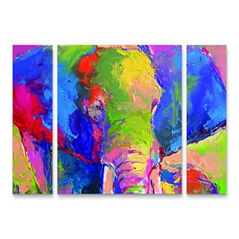 Richard Wallich Elephant 1 Canvas Wall Art 3 pc Set