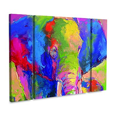 Richard Wallich Elephant 1 Canvas Wall Art 3-piece Set