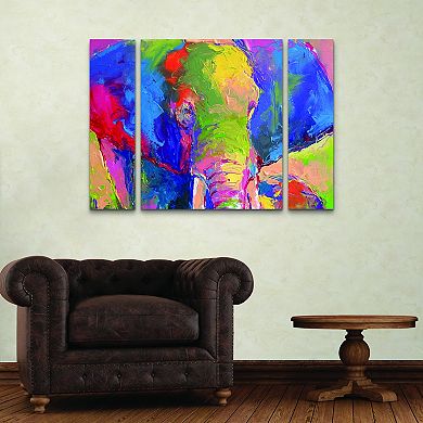 Richard Wallich Elephant 1 Canvas Wall Art 3-piece Set
