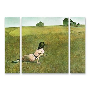 Andrew Wyeth Christina's World Canvas Wall Art 3 pc Set