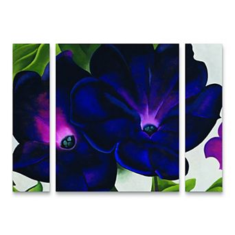 Georgia O'Keeffe Black and Purple Petunias Canvas Wall Art 3 pc Set