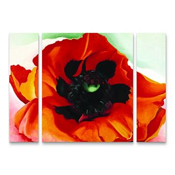 Georgia O'Keeffe Poppy Canvas Wall Art 3 pc Set