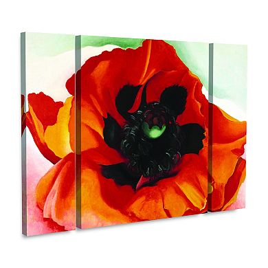 Georgia O'Keeffe Poppy Canvas Wall Art 3-piece Set