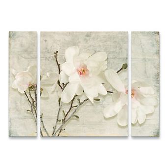 Spring Magnolia Canvas Wall Art 3 pc Set