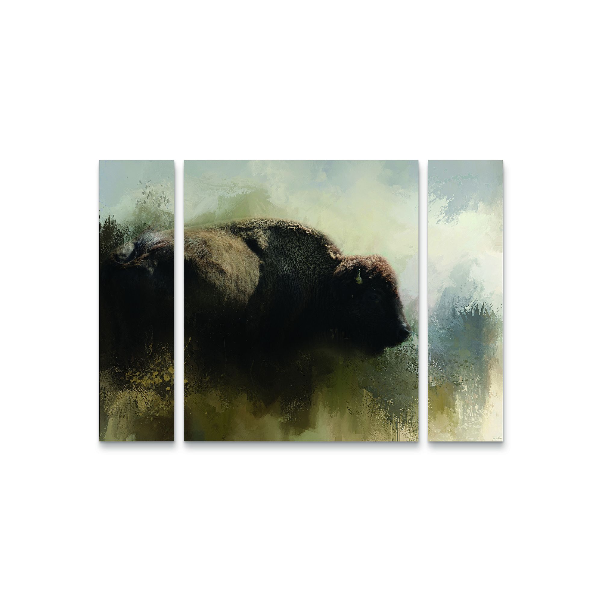 Abstract American Bison Canvas Wall Art 3-piece Set, Multi