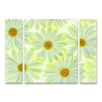 Daisy Flowers Canvas Wall Art 3 pc Set