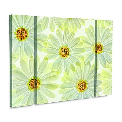 Daisy Flowers Canvas Wall Art 3-piece Set