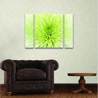 Lime Light Spider Mum Canvas Wall Art 3-piece Set