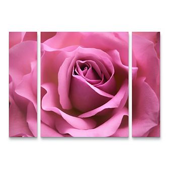 Misty Pink Rose Canvas Wall Art 3 pc Set