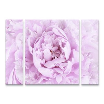 Pink Peony Flower Canvas Wall Art 3 pc Set