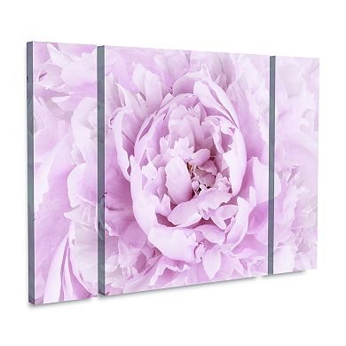 Pink Peony Flower Canvas Wall Art 3-piece Set