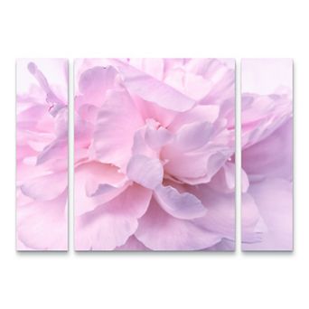 Pink Peony Petals II Canvas Wall Art 3 pc Set