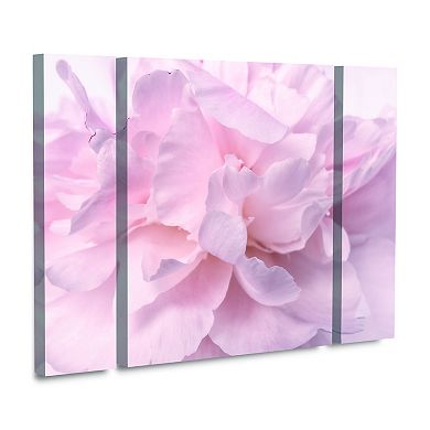 Pink Peony Petals II Canvas Wall Art 3-piece Set