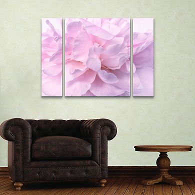 Pink Peony Petals II Canvas Wall Art 3-piece Set