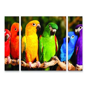 Rainbow Parrots Canvas Wall Art 3 pc Set