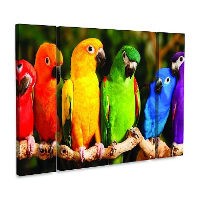 Rainbow Parrots Canvas Wall Art 3-piece Set