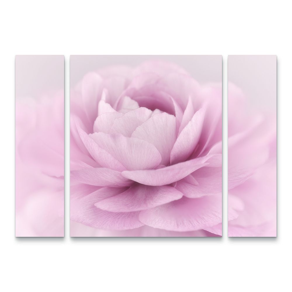 set of 3 canvas wall art pink