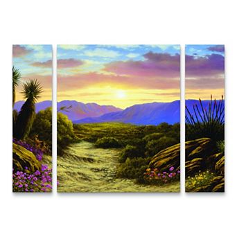 Trademark Fine Art Anthony Casay Desert Scene 3 pc Multi Panel Art Set
