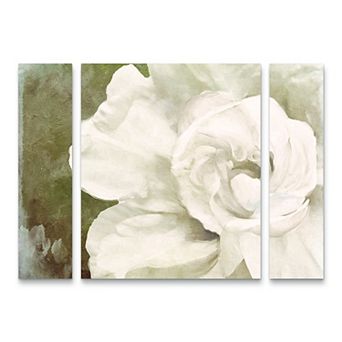 Petals Impasto II Canvas Wall Art 3 pc Set