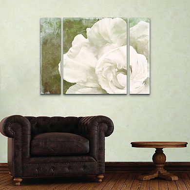 Petals Impasto II Canvas Wall Art 3-piece Set