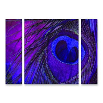 Peacock Candy IV Canvas Wall Art 3 pc Set