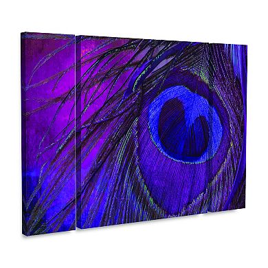 Peacock Candy IV Canvas Wall Art 3-piece Set