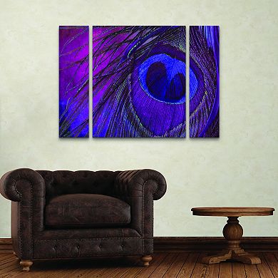 Peacock Candy IV Canvas Wall Art 3-piece Set