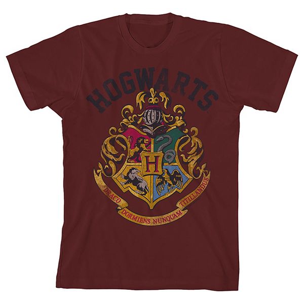 Boys 8-20 Harry Potter Hogwarts Graphic Tee