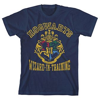 Boys 8-20 Harry Potter Wizard Training Graphic Tee