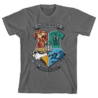 Boys 8-20 Harry Potter Hogwarts School Graphic Tee