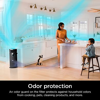 Shark® Air Purifier 3-in-1 with True HEPA Filter (HC452)