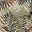 Fern