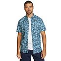 Button Down Shirts