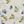 Pumice