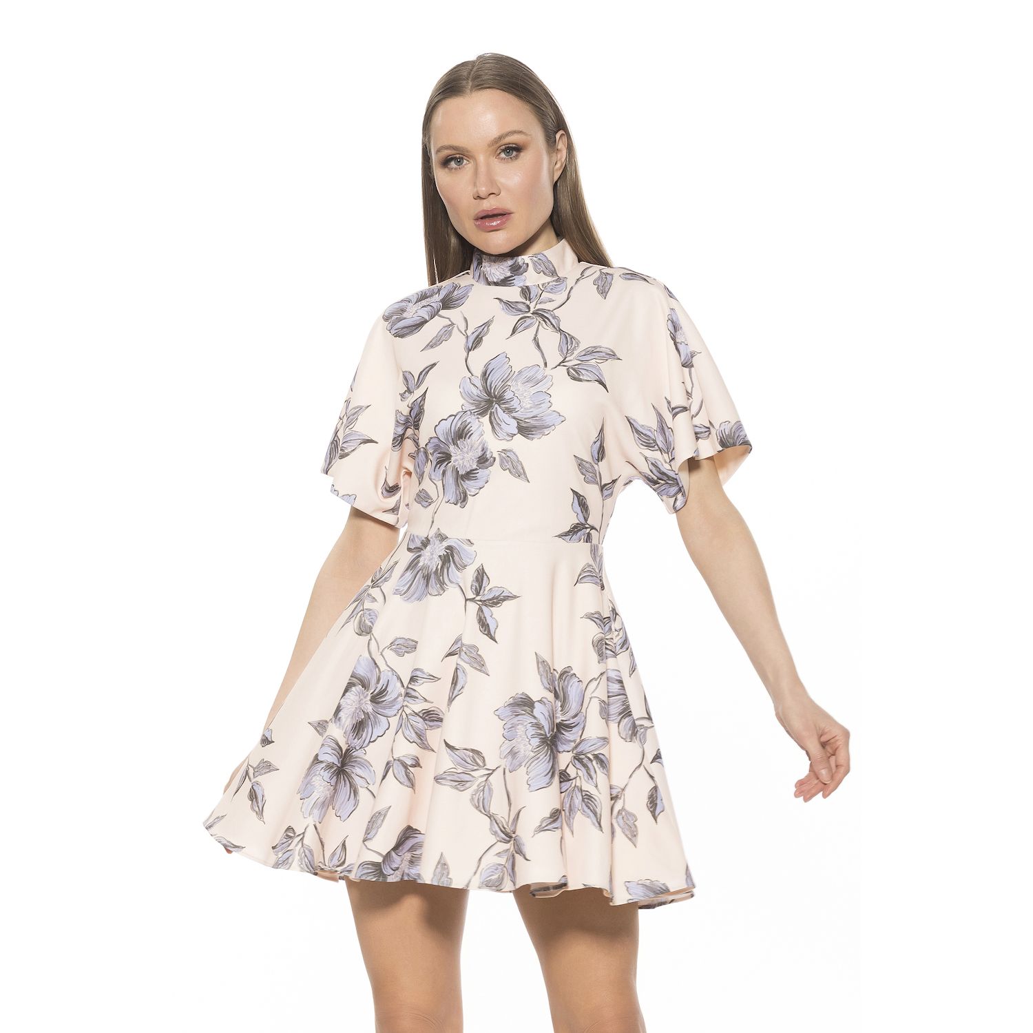 Женское платье Alexia Admor Dolman Fit & Flare Mini, цвет: Красный