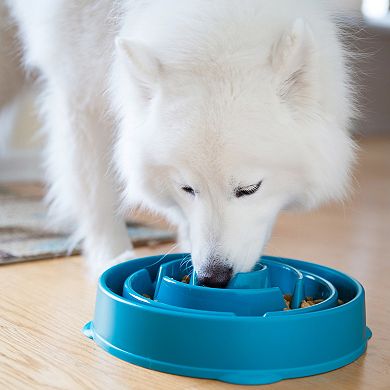 Outward Hound Small Fun Feeder Drop Bowl