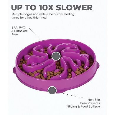 Outward Hound Fun Feeder Flower Slo Bowl