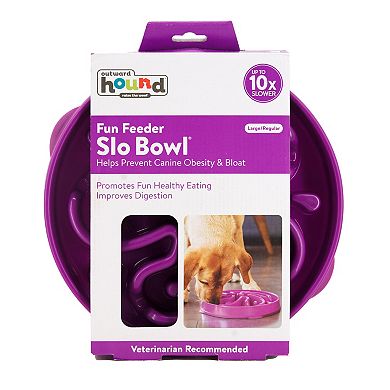 Outward Hound Fun Feeder Flower Slo Bowl