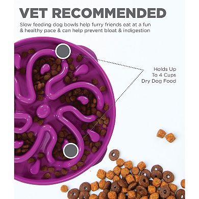 Outward Hound Fun Feeder Flower Slo Bowl