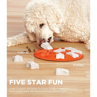 Outward Hound Dog Smart Puzzle