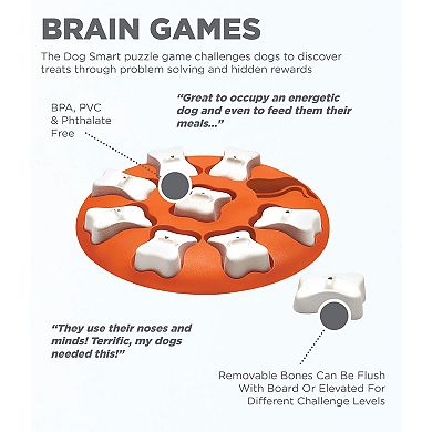 Outward Hound Dog Smart Puzzle