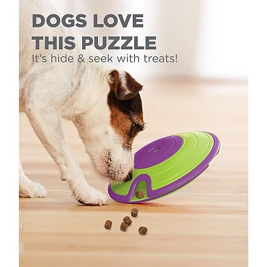 Outward Hound Treat Maze Toy