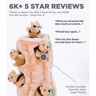 Outward Hound Hide A Squirrel Toy