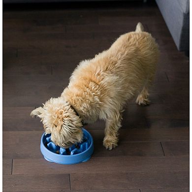 Outward Hound Medium Fun Feeder Notch Bowl