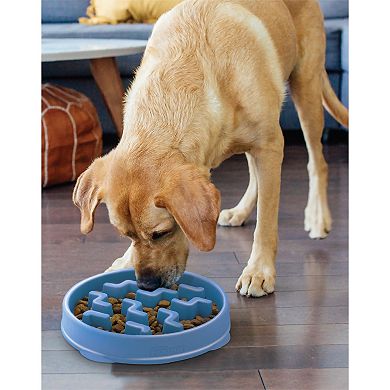 Outward Hound Fun Feeder Notch Bowl