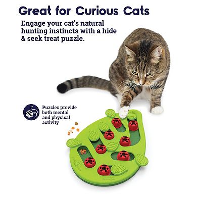 CatStages Puzzle & Play Buggin Out