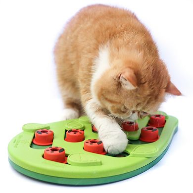 CatStages Puzzle & Play Buggin Out